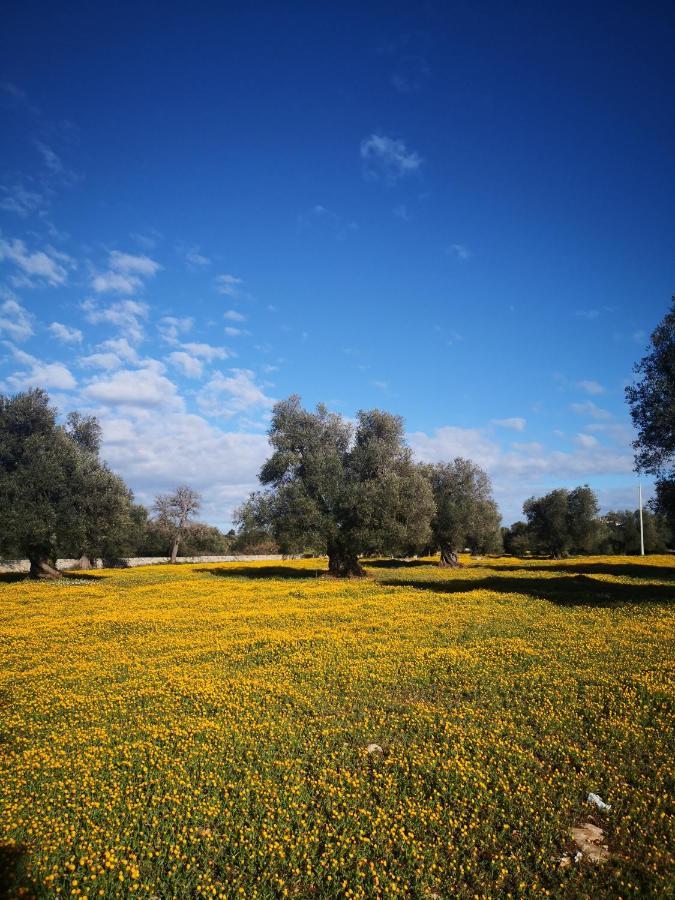 Le Dimore Di Mama Ceglie Messapica Luaran gambar
