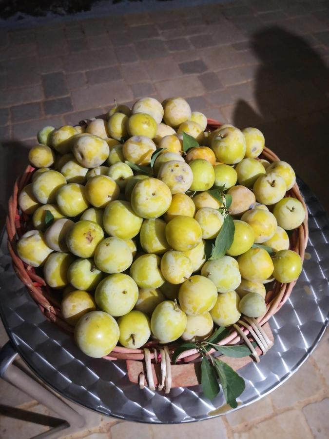 Le Dimore Di Mama Ceglie Messapica Luaran gambar